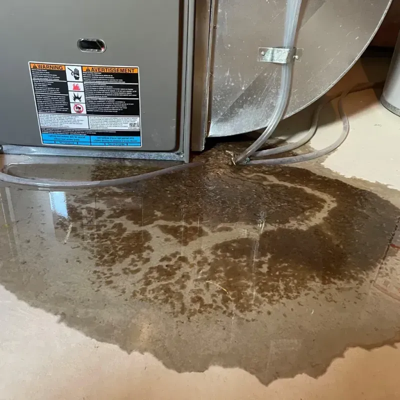 Appliance Leak Cleanup in Beaufort, NC